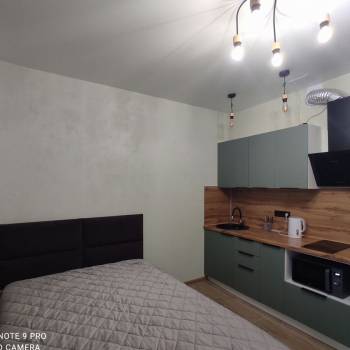 Сдается 1-комнатная квартира, 20,5 м²