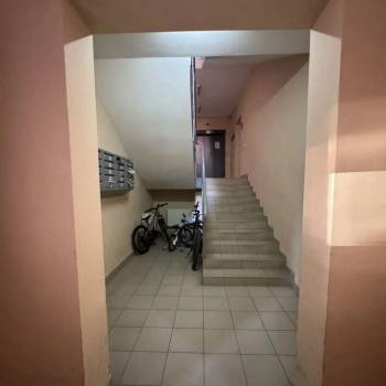 Сдается 1-комнатная квартира, 49 м²