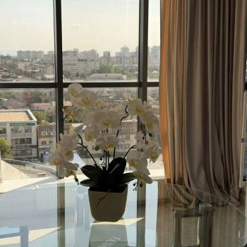 Сдается 2-х комнатная квартира, 60 м²