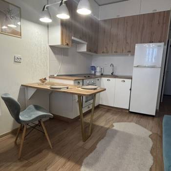 Сдается 1-комнатная квартира, 25,4 м²