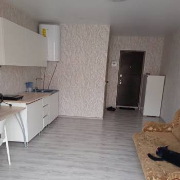 Сдается 1-комнатная квартира, 26 м²