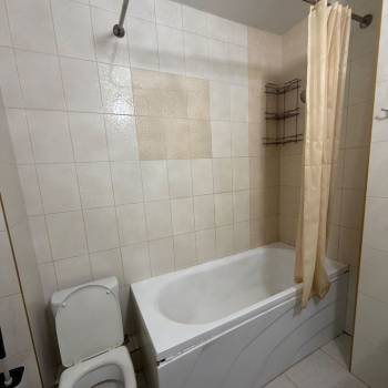 Сдается 1-комнатная квартира, 24,1 м²