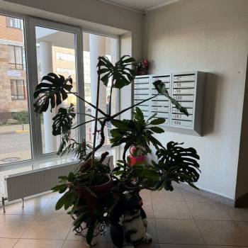 Сдается 1-комнатная квартира, 40 м²