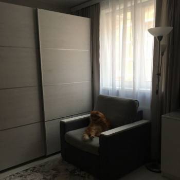Продается 1-комнатная квартира, 25,5 м²