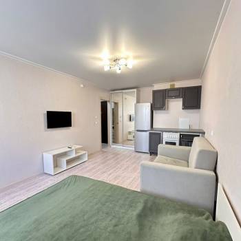 Сдается 1-комнатная квартира, 26,5 м²