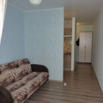 Сдается 1-комнатная квартира, 24,1 м²