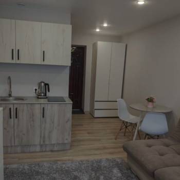 Продается 1-комнатная квартира, 18,3 м²