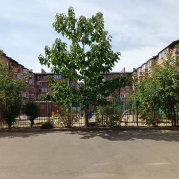 Продается 1-комнатная квартира, 24 м²