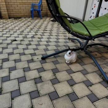 Продается Дом, 160 м²