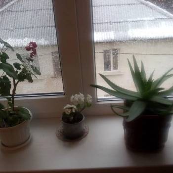Продается 2-х комнатная квартира, 48,8 м²