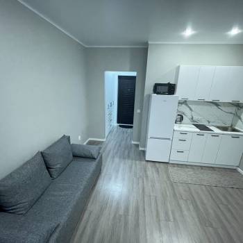 Сдается 1-комнатная квартира, 23,9 м²