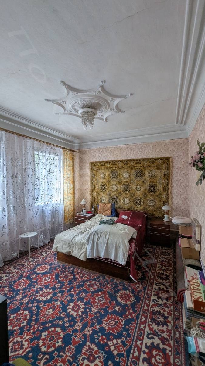 Фотография №10