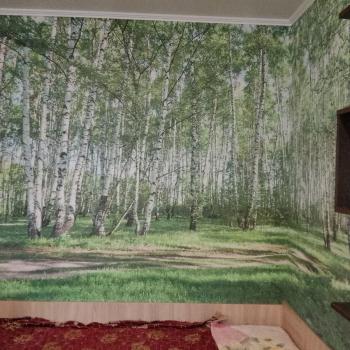 Сдается 1-комнатная квартира, 39 м²
