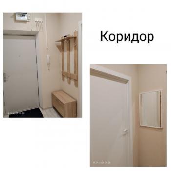Сдается 1-комнатная квартира, 25,1 м²