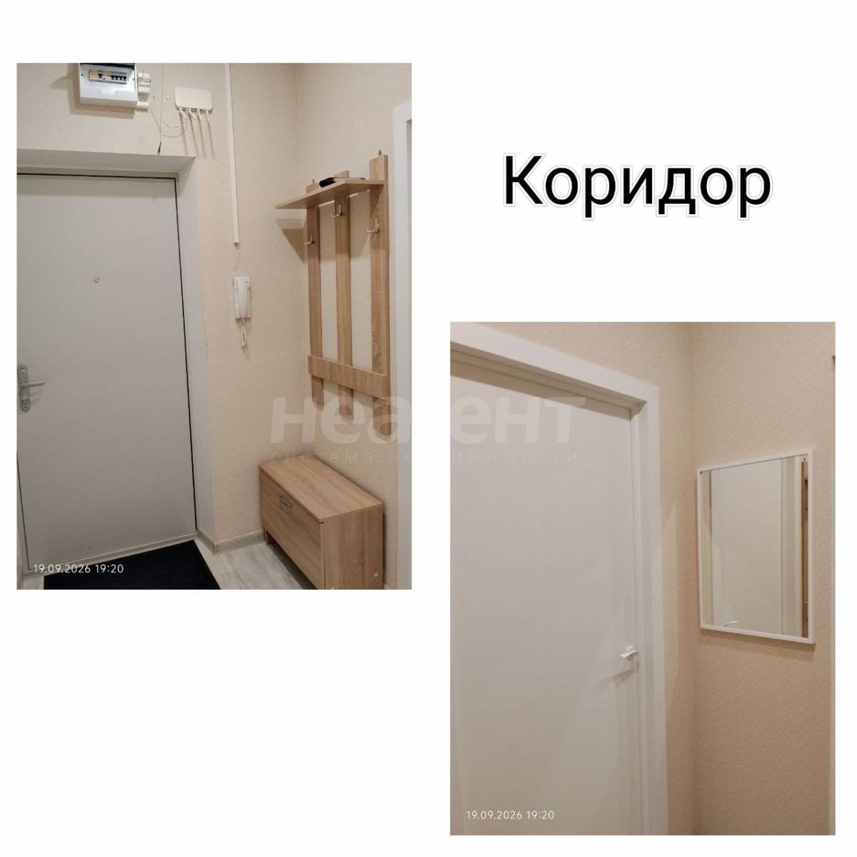 Фотография №5