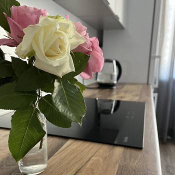 Сдается 2-х комнатная квартира, 50 м²