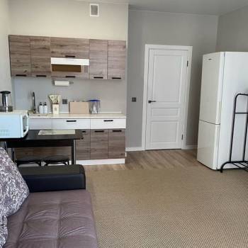 Сдается 1-комнатная квартира, 26,5 м²
