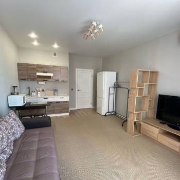 Сдается 1-комнатная квартира, 26,5 м²