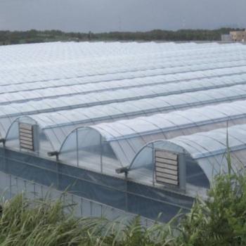 Продается Участок, 20000 м²