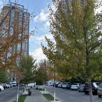 Продается 1-комнатная квартира, 44 м²