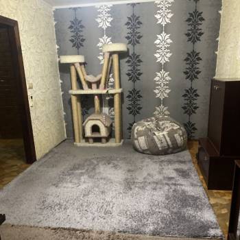 Сдается 2-х комнатная квартира, 58 м²