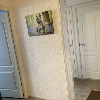 Сдается 2-х комнатная квартира, 54,4 м²