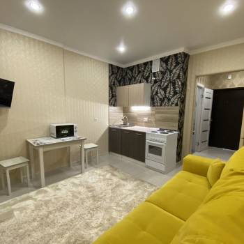 Сдается 1-комнатная квартира, 24 м²