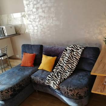 Сдается 1-комнатная квартира, 26 м²
