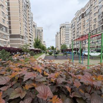 Сдается Многокомнатная квартира, 66 м²