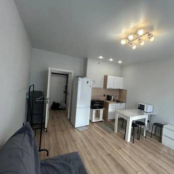 Сдается 1-комнатная квартира, 26,5 м²