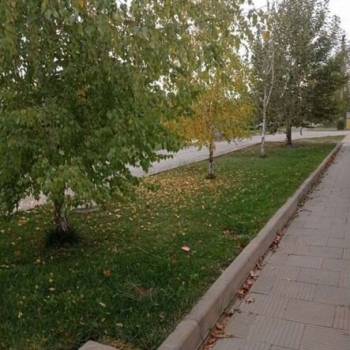 Сдается Дом, 65 м²