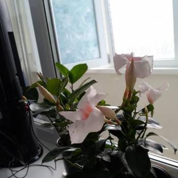 Продается 2-х комнатная квартира, 63,2 м²