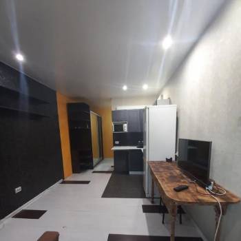 Сдается 1-комнатная квартира, 24,1 м²
