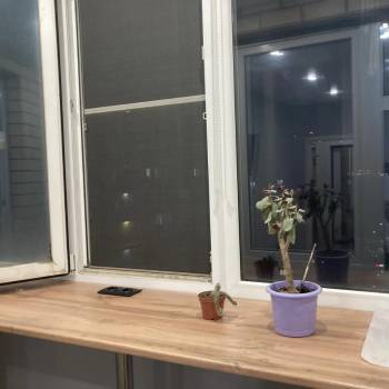Сдается 1-комнатная квартира, 18 м²