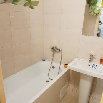 Сдается 1-комнатная квартира, 27,9 м²