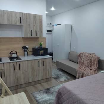Продается 1-комнатная квартира, 22,8 м²