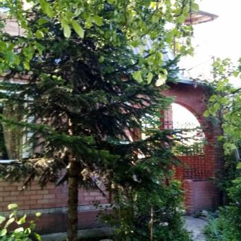 Сдается Дом, 60 м²