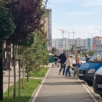 Сдается Нежилое помещение, 43 м²