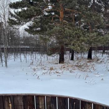 Продается Участок, 2010 м²