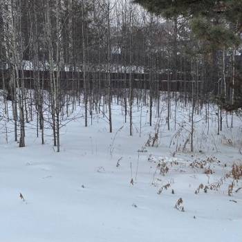 Продается Участок, 2010 м²