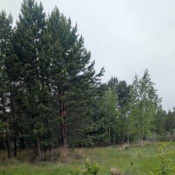 Продается Участок, 1500 м²