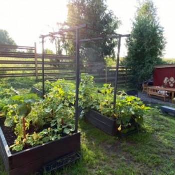 Сдается Дом, 21 м²