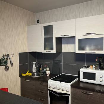 Сдается 1-комнатная квартира, 25,8 м²