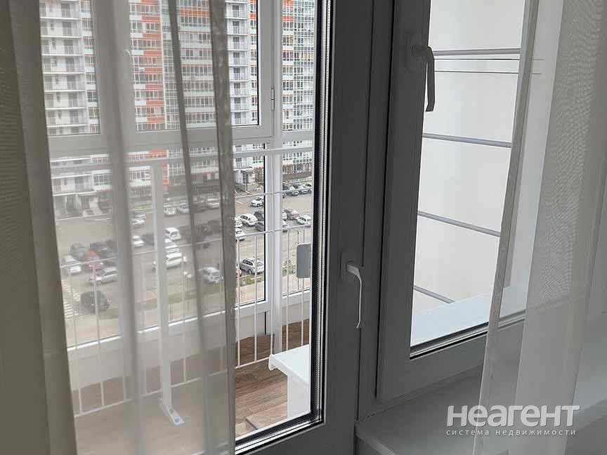 Фотография №2