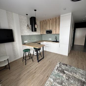 Сдается 1-комнатная квартира, 29,7 м²