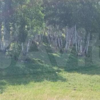 Продается Участок, 3000 м²