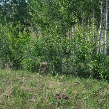 Продается Участок, 3000 м²