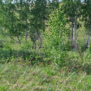 Продается Участок, 3000 м²