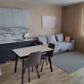Сдается 1-комнатная квартира, 31 м²
