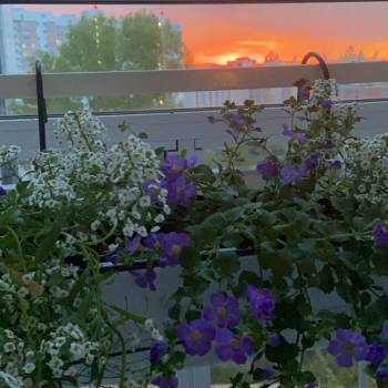 Продается 2-х комнатная квартира, 79,9 м²